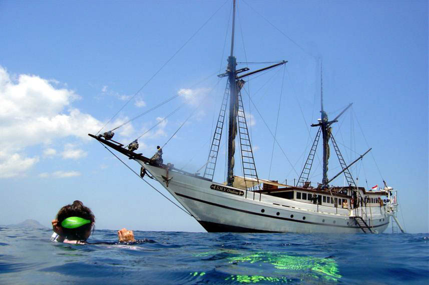 DivingRegister's tweet image. Ondina dlvr.it/SnqyCH