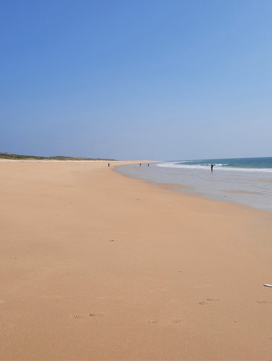 celine29m's tweet image. La grande plage de l'île de Houat qui porte bien son nom !
#Bretagne #Morbihan #Bzh