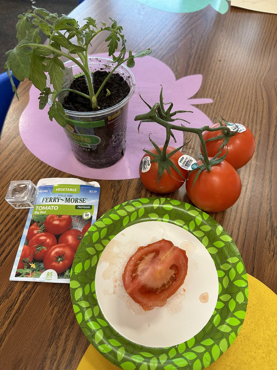 Exploring the plant life cycle 🌱 🍅 <a href="/BernshausenKISD/">Bernshausen Ele.</a>