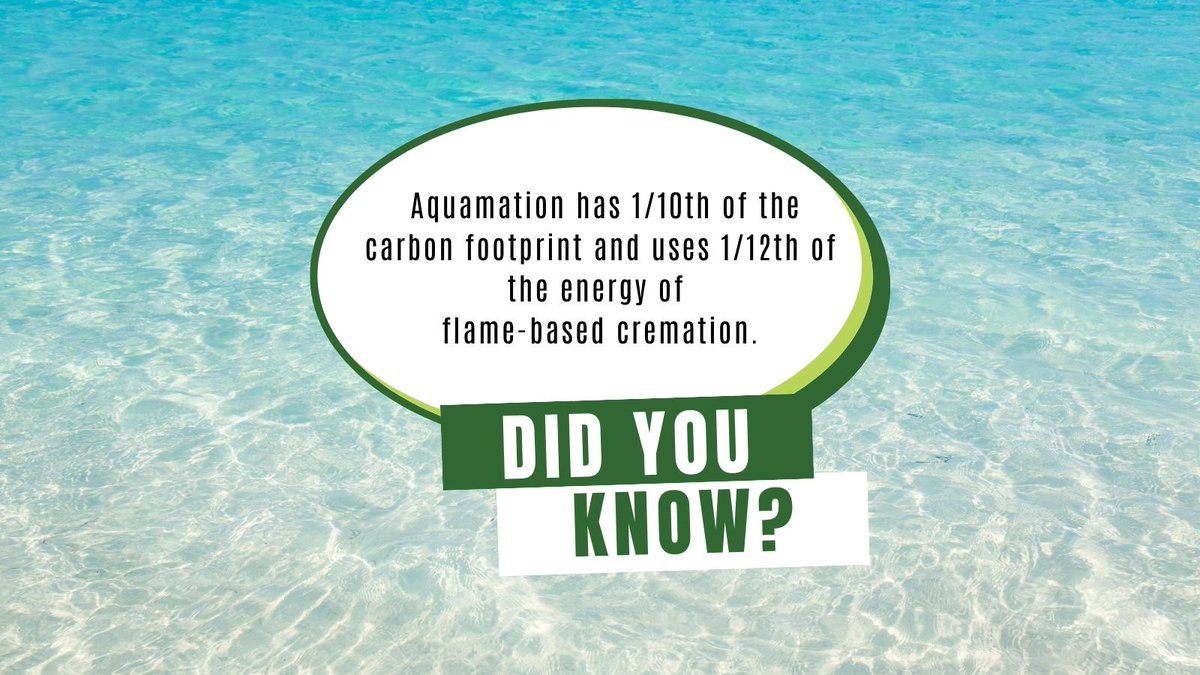 A Greener Funeral tweet media