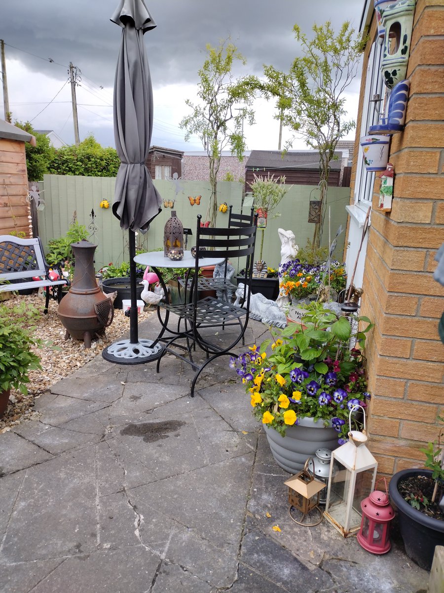 Garden slowly coming together. I will didn't put the outdoor rugs down waiting for the thunderstorms to passover. #seaside #SunshineCoast #seasideauthor #goodreadsauthor