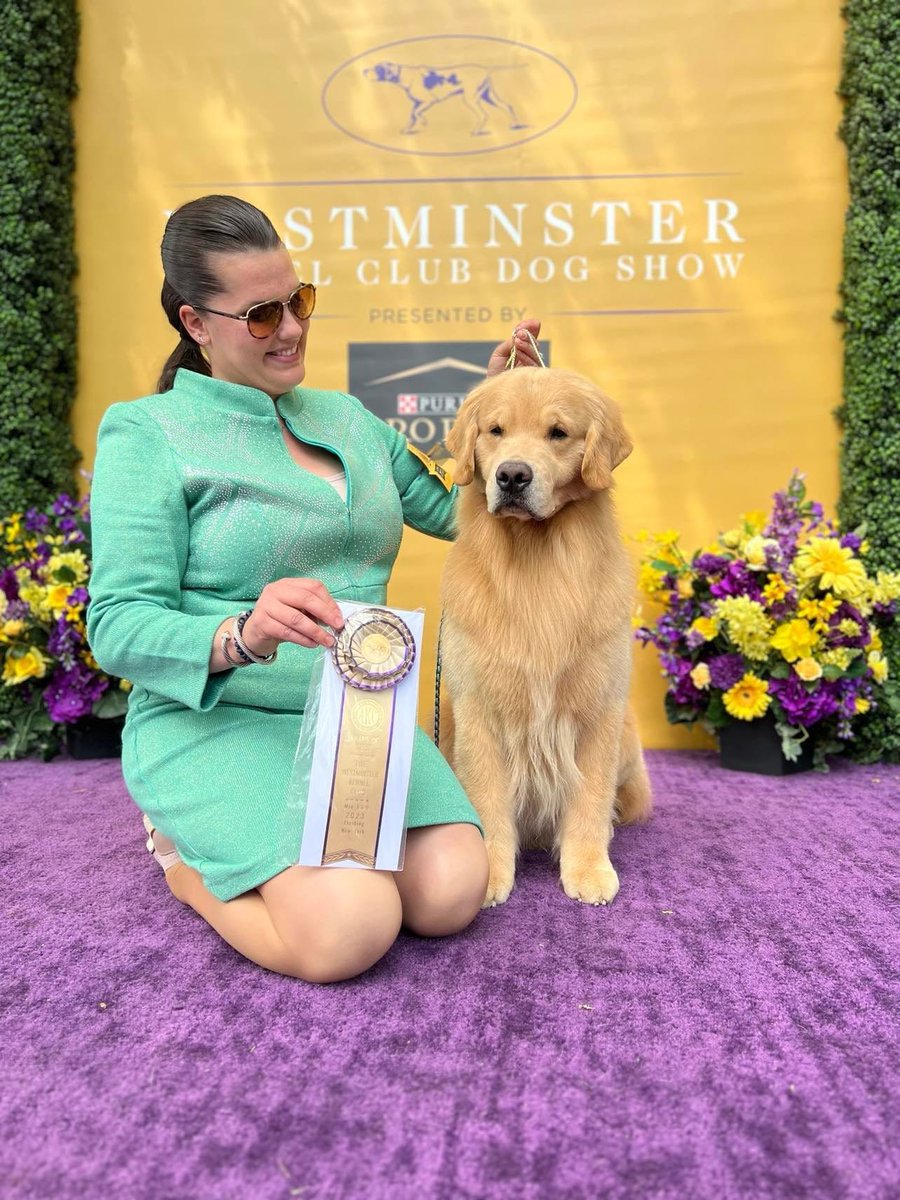 Marianne Miller on Twitter "To everyone who knows me and what I do, so proud of getting a huge