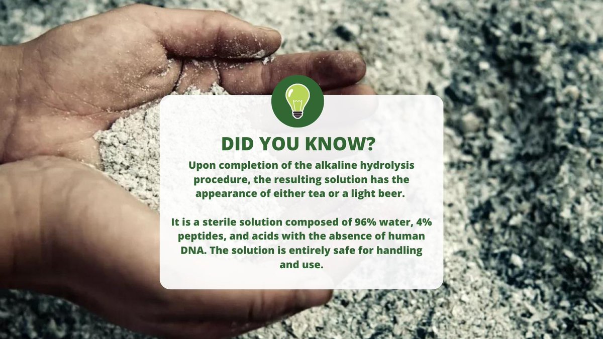 A Greener Funeral tweet media