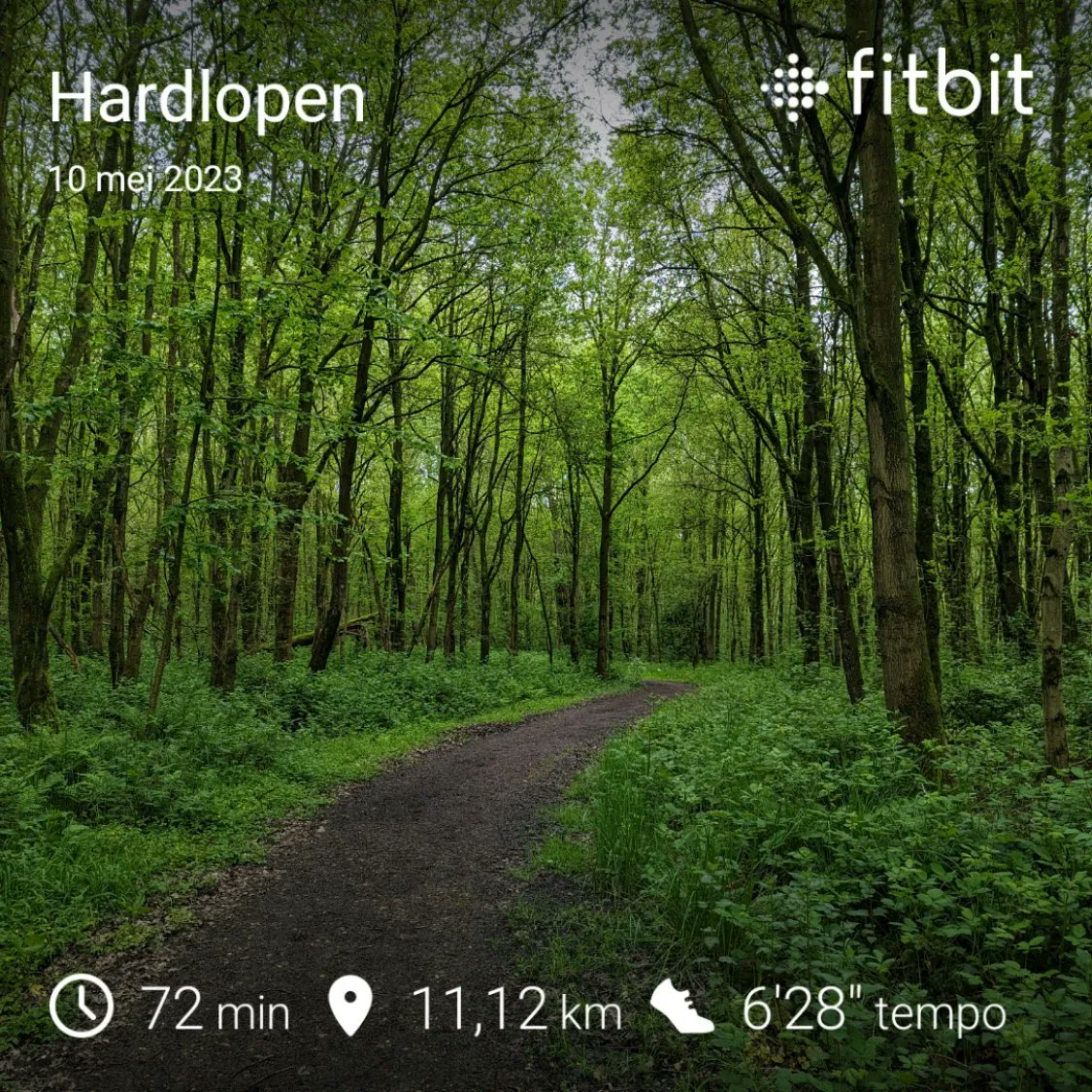fabiobruna's tweet photo. Per ongeluk 11K interval ipv de 10 uit de planning :) #goldenten #losloper https://t.co/nLX1laGpbO