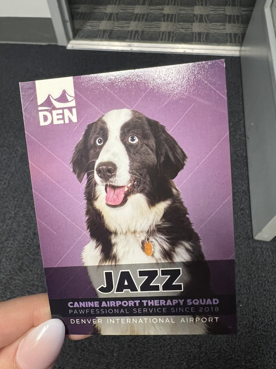We have a visitor!!! Thank you Jazz for paying our DEN SOC a visit to brighten a very gloomy day 🐾 🤍 #DENCATS #beingunited