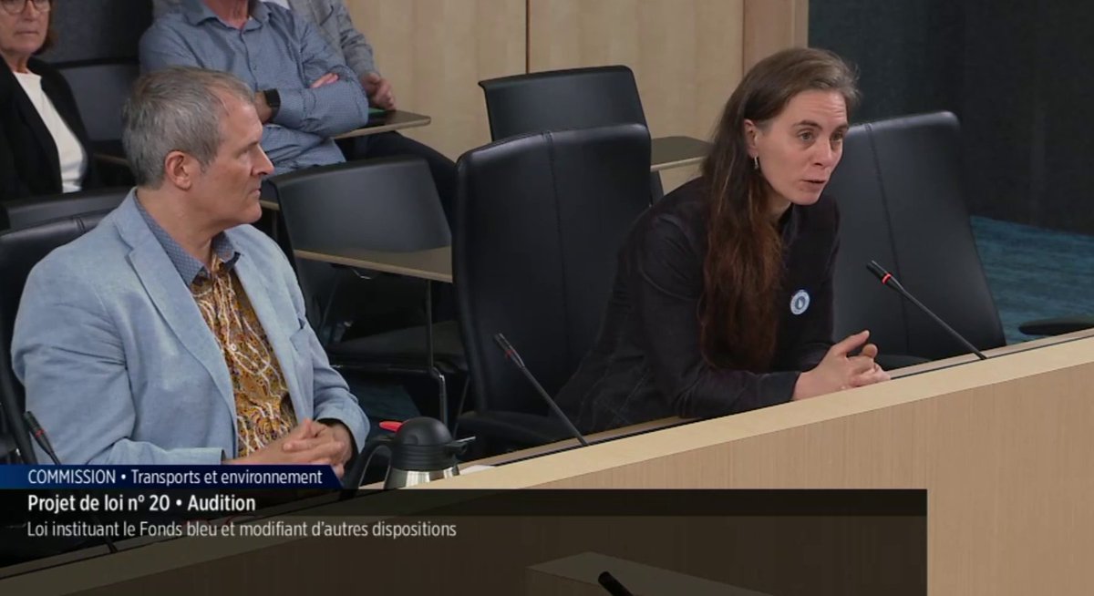 #PL20 | <a href="/RebeccaPetrin/">Rébecca Pétrin</a>, dg d'Eau Secours, présentait aujourd'hui nos recommandations sur le projet de loi 20 sur l'eau avec <a href="/F_Rivieres/">Fondation Rivières</a> &amp; @CoalitionPoids.

Consultez notre mémoire: bit.ly/42saRqG
Voir notre présentation: bit.ly/3MgPByr

#polqc #fondsbleu #assnat