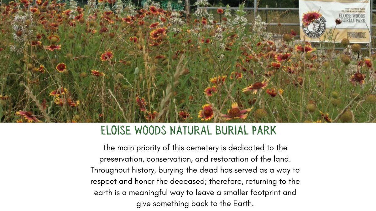 A Greener Funeral tweet media