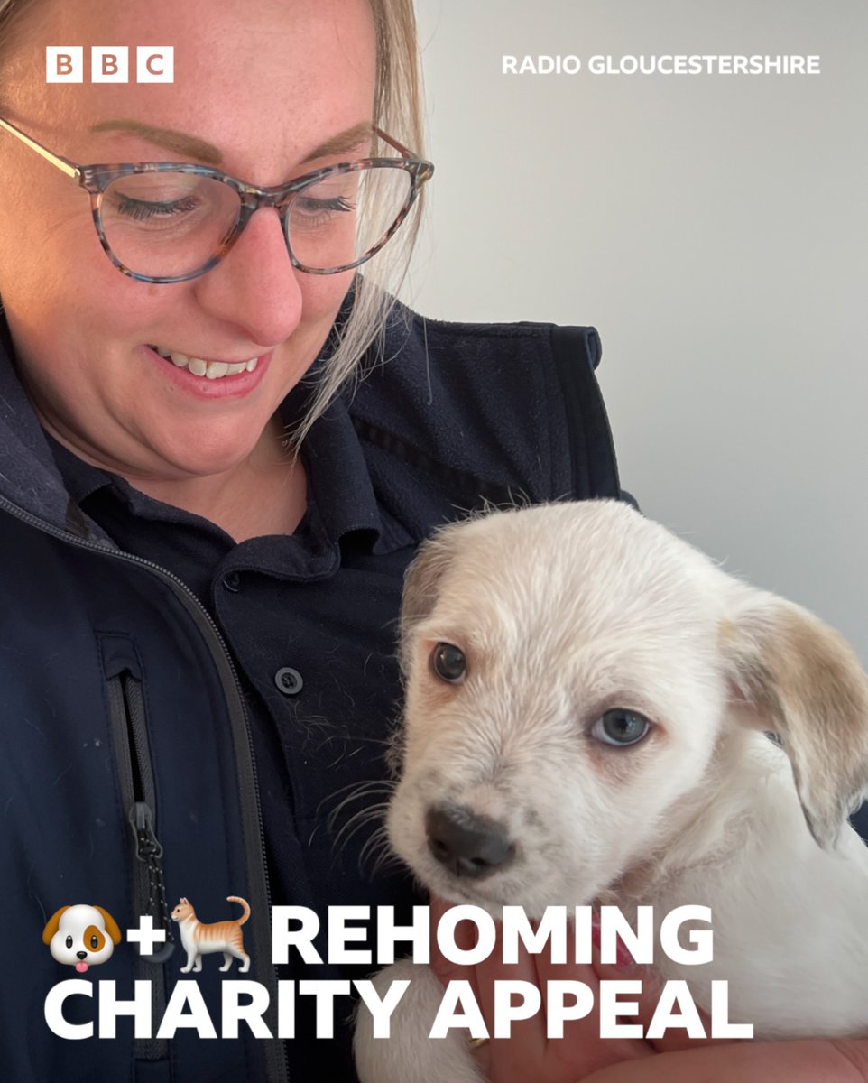 🏴󠁧󠁢󠁥󠁮󠁧󠁿Sean_FGR🏴󠁧󠁢󠁥󠁮󠁧󠁿 on Twitter "Where do we donate then