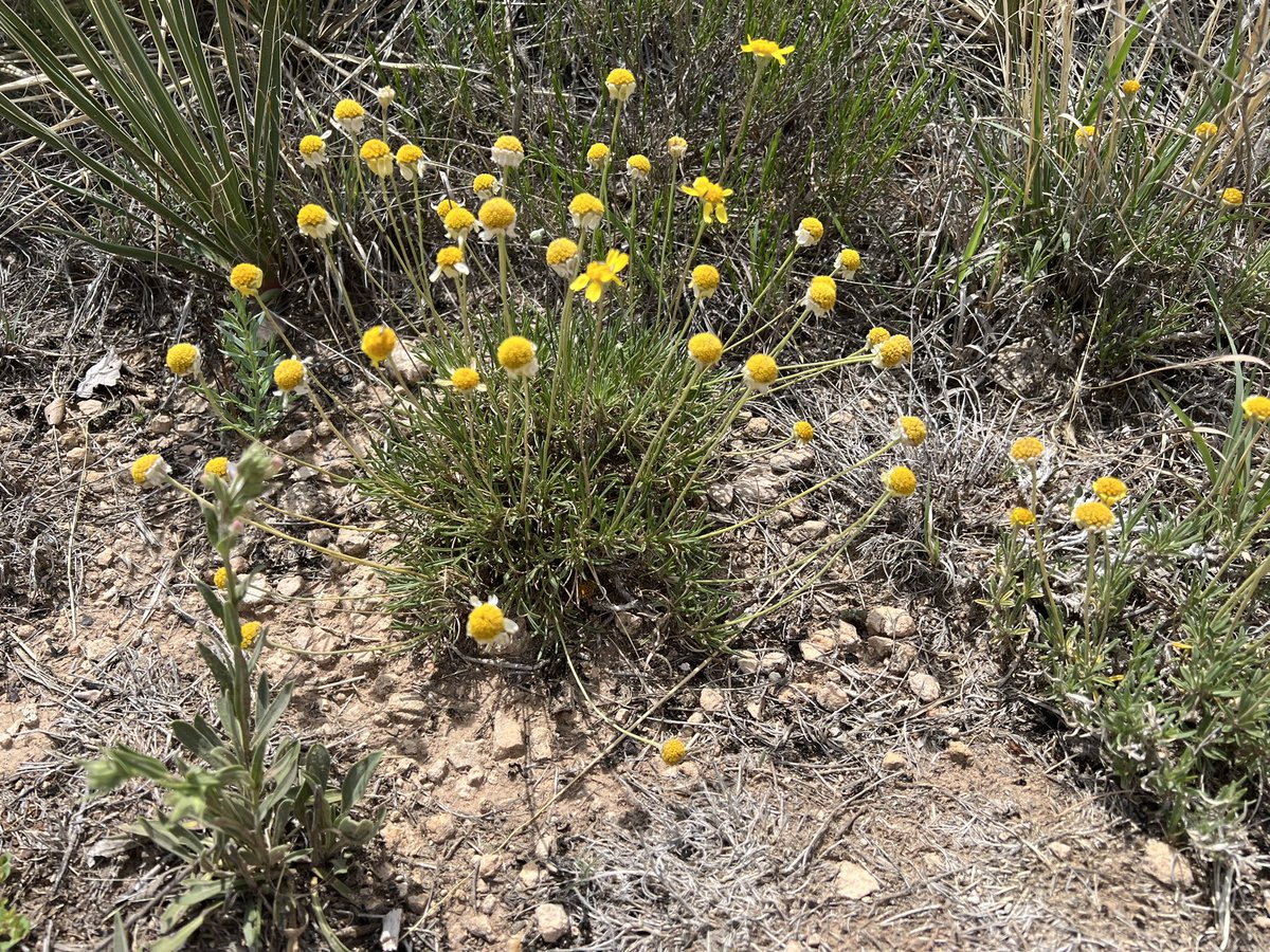 Erin Frescas ارین فرسکاس on Twitter "I love hikes and walks in nature