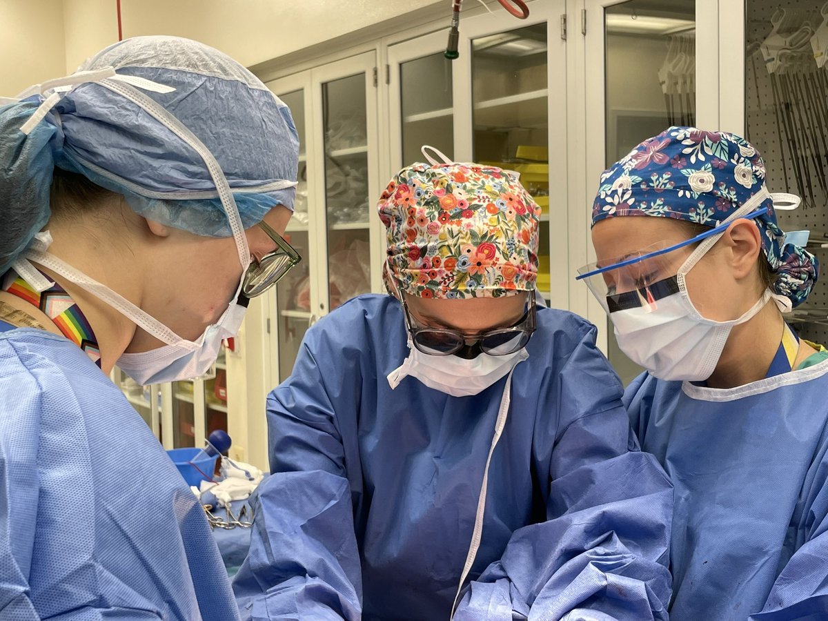 Professional development is fun and all... but this #womaninsurgery is ready to get back into the OR #WISE #SAVElab #surged - thanks for all the tips <a href="/isaiah_turnbull/">Isaiah Turnbull</a> &amp; <a href="/LKrankerMD/">Lindsay Kranker, MD, FACS</a>