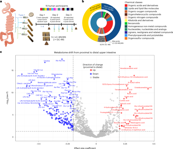 Online now! Human metabolome variation along the upper intestinal tract dlvr.it/Snr0h7