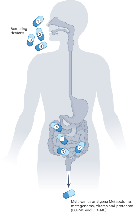 Online now! A multi-omic trip through the human gut dlvr.it/Snr0hj