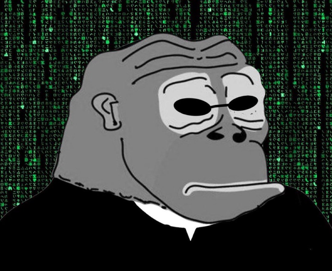 MONKE tweet media