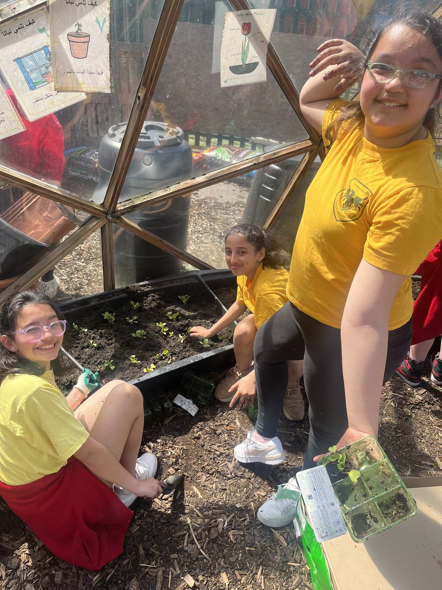 Phoenix Curriculum tweet media