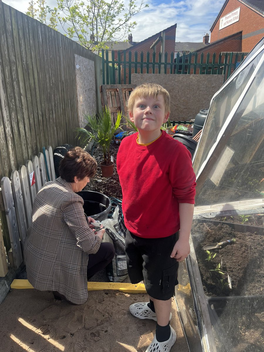 Phoenix Curriculum tweet media