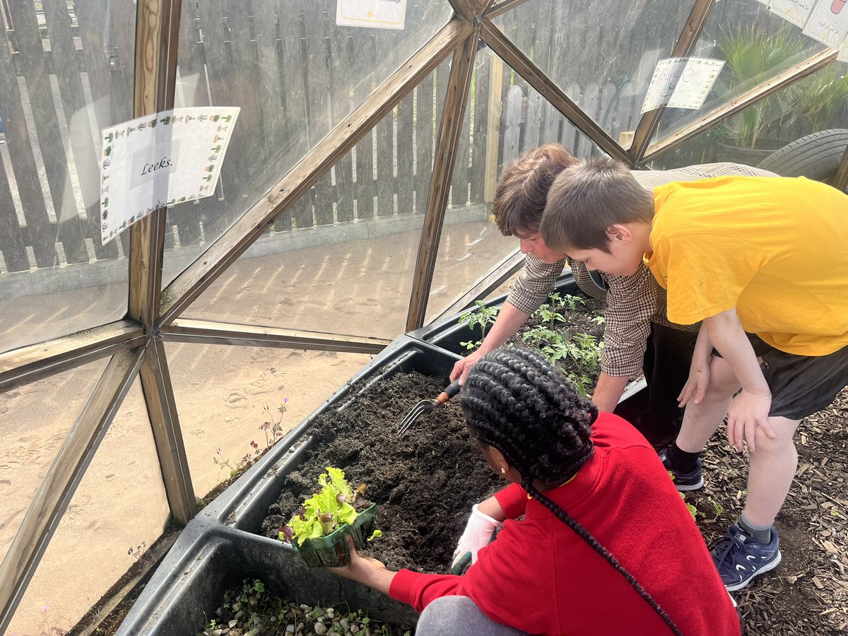 Phoenix Curriculum tweet media