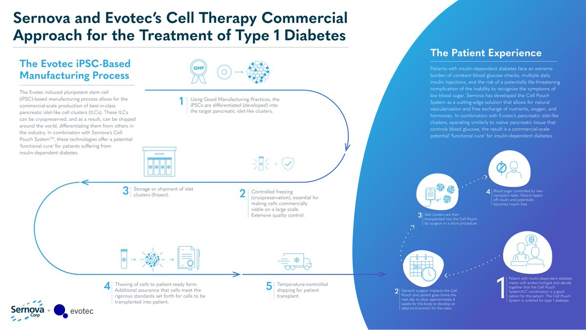 Sernovabio's tweet photo. Our partners at @Evotec have developed a differentiated GMP manufacturing process that allows for the commercial-scale production of induced pluripotent stem cell-derived islet-like clusters for use in our Cell Pouch System™. Check out the graphic below for more details! https://t.co/JxXf1Yz7qw