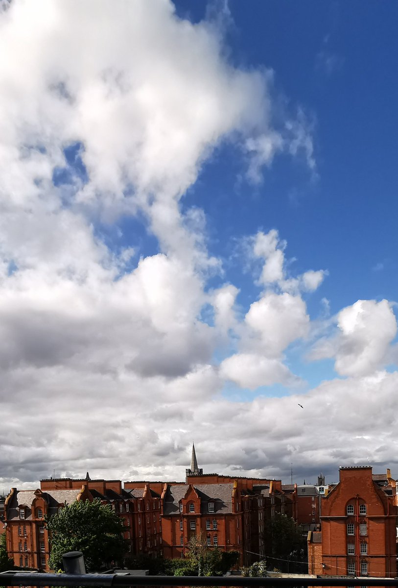 Magnificent view of the Iveagh  Trust Buildings.