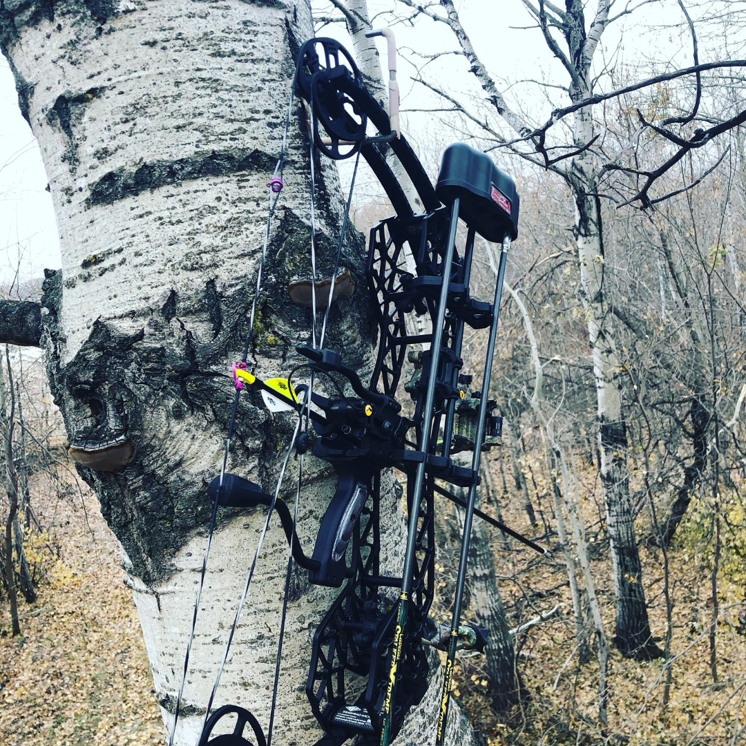 TheMLOA's tweet photo. Is your dream Manitoba archery hunt coming up this year? If you plan on using your compound bow, remember that your peak draw weight must exceed 40 lbs. 

#mloa #huntfishmb #archeryhunting #manitobaoutdoors https://t.co/i7b8d6fxYQ