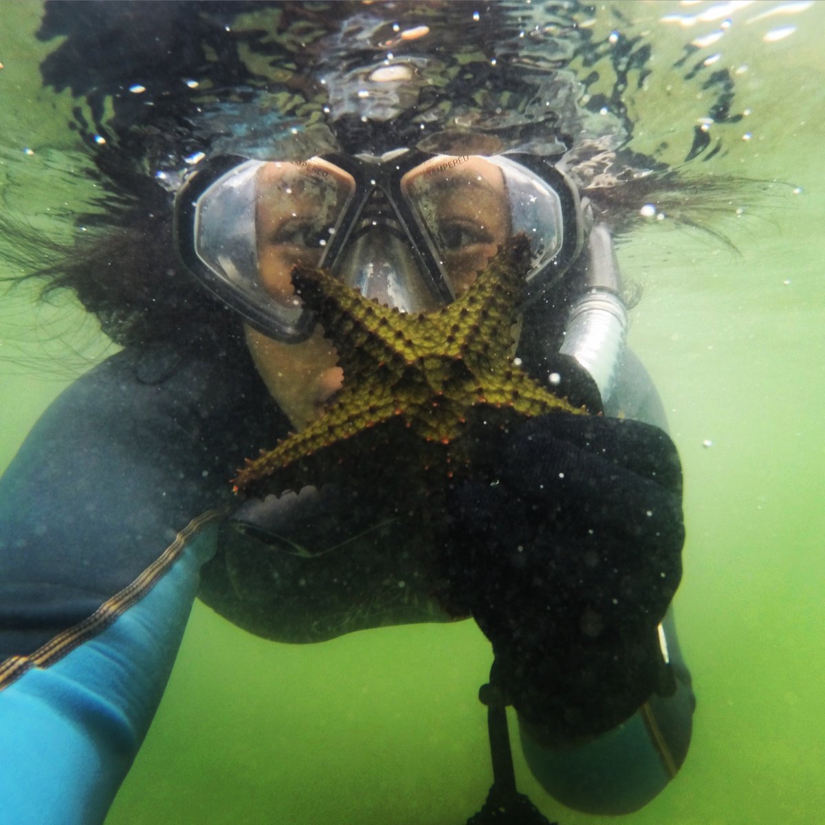 SERCinvasions's tweet photo. #MeetAnInvader Jess received her B.S. in Marine Biology from @CSULB and her M.S. in Biology from @CalStateLA where she studied larval development and swimming behavior in tropical sea slugs. Her favorite places that science has taken her so far are Alaska, Hawaii, and Panama! 🤗 https://t.co/VAOZkoLTaU