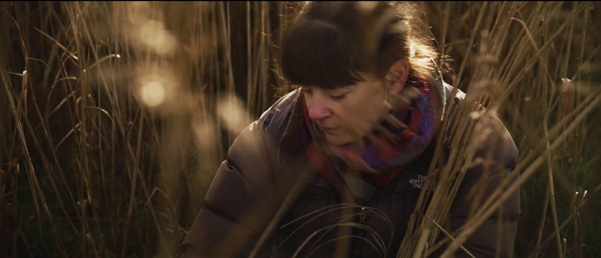 Laura Ellen Bacon tweet media