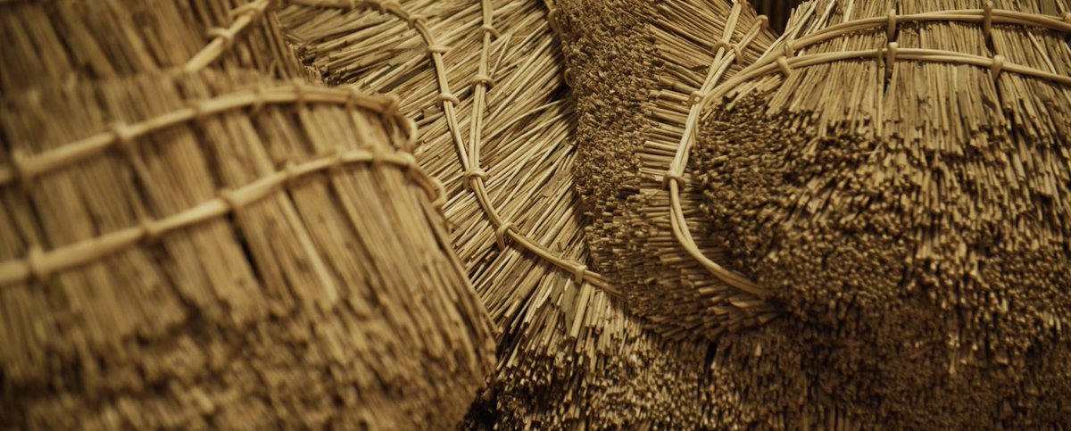 Laura Ellen Bacon tweet media