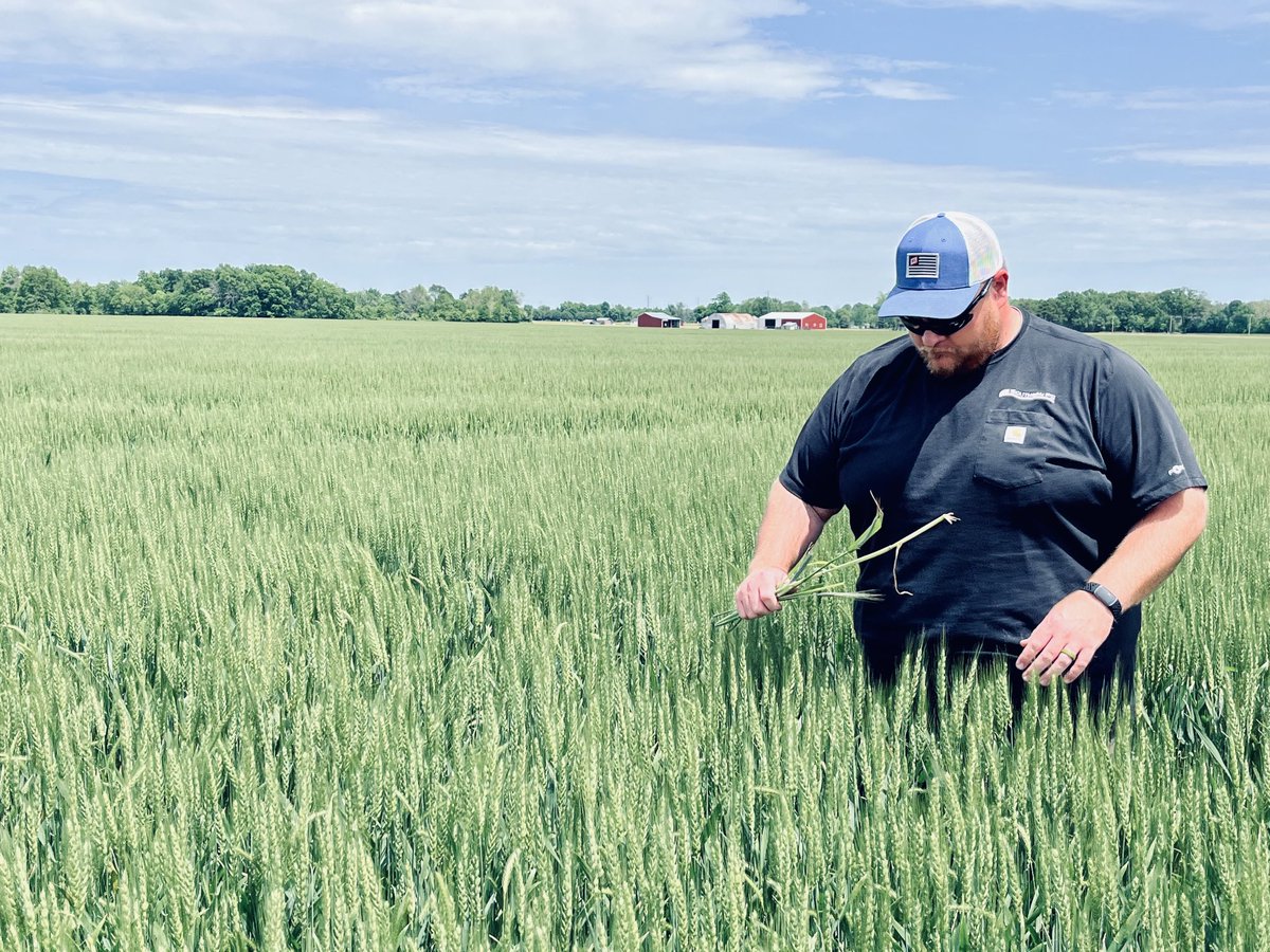 FS InSPIRE 600 looks        🧨💥BANGIN’ in Jackson Co. IL all recs made by ⁦<a href="/Southern_fs_inc/">Southern FS</a>⁩ Crop Specialist ⁦<a href="/creedworthen/">Creed Worthen</a>⁩ ⁦<a href="/InVISION_HiSOY/">FSInVISION_FSHiSOY</a>⁩