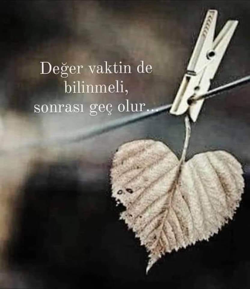Bayrama yetişmeyen kınayı .......Demiş Altaylardan atlarıyla gelen atalarımız.#OylarTazminata