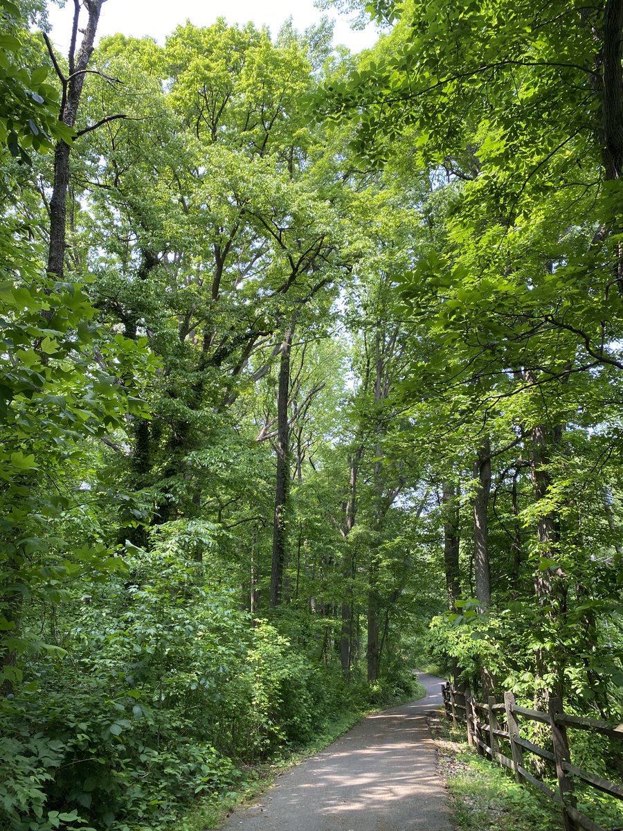 Nicki Escudero 🏀 tweet media