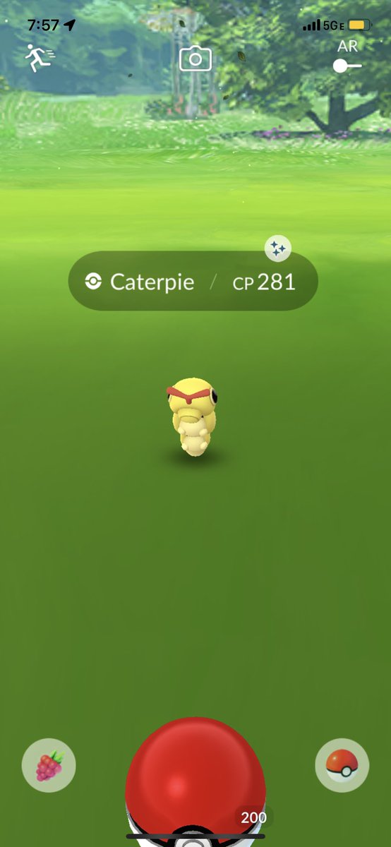 Ktee_baybee's tweet photo. Caught this lil guy; finally!! #ShinyCaterpie #ShinyPokemon #PokemonGo #PokemonGoMom https://t.co/vnUvS370tW