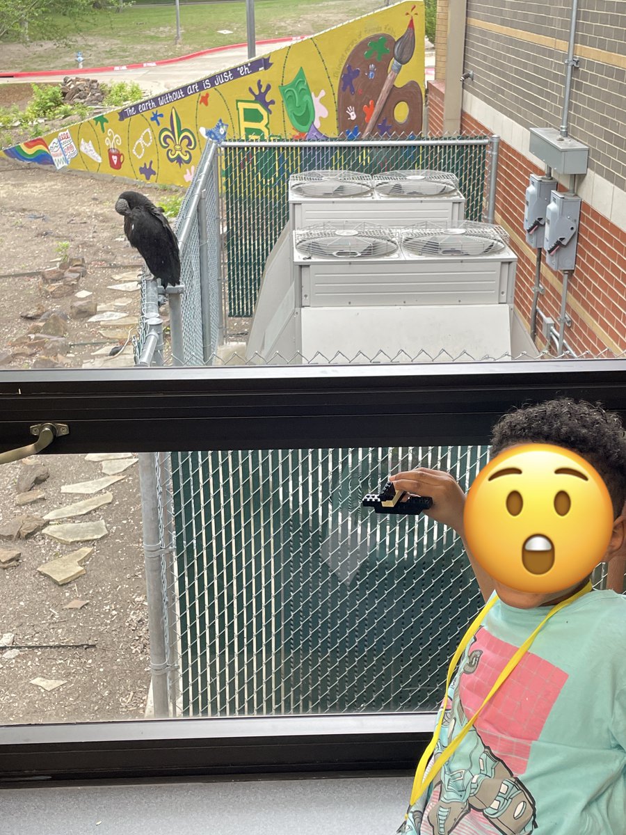 Our resident vultures are interested in what's happening in Makerspace today! #VCLibrary #VCEStrongerTogether #youbelongatVCE