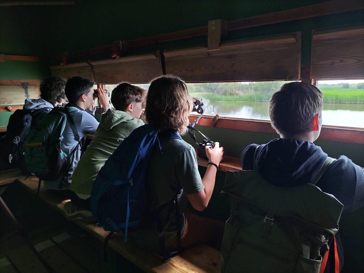 Birdingjunior tweet media