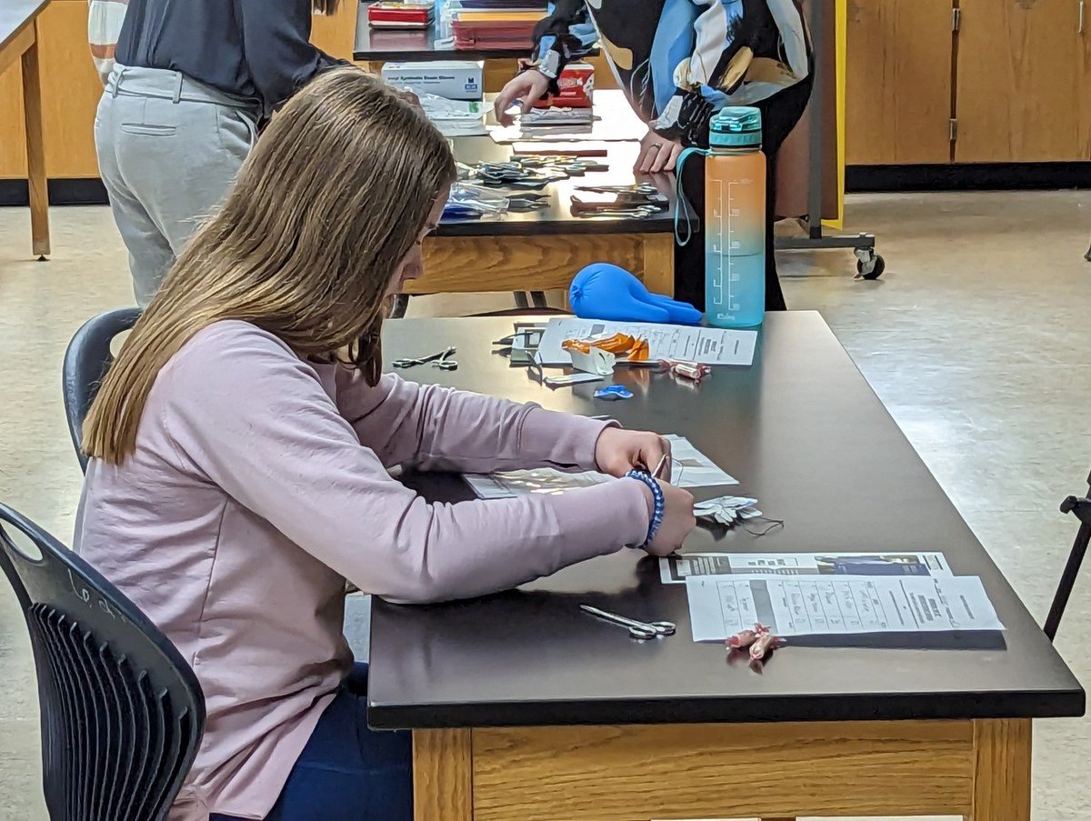 Bridgeport Schools on Twitter "Career Day at Bridgeport MS and HS. It