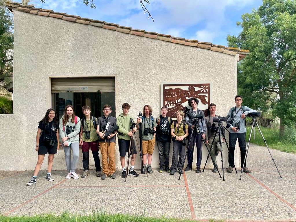 Birdingjunior tweet media