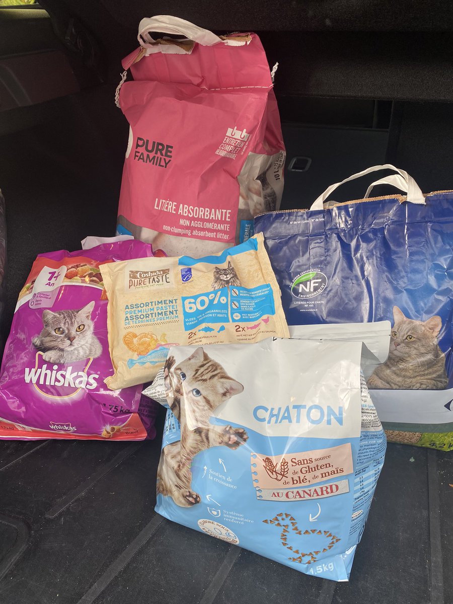 AmandP59's tweet photo. Bravo aux élèves de 1STMG2 et 1G1 et leurs professeurs pour l’organisation d’une collecte au profit de différentes associations .
L’asso des félins de mamicat a pu bénéficier d’une partie des dons 😍
Merci pour eux .
@DirectionLpdc https://t.co/Dc2meiW1Tb