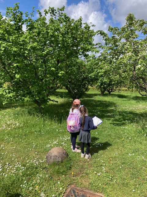 HTPDSchool's tweet photo. Year 1 had a wonderful day in the spring sunshine at Wisley Gardens! #zestforlearning https://t.co/lZft2ri68i