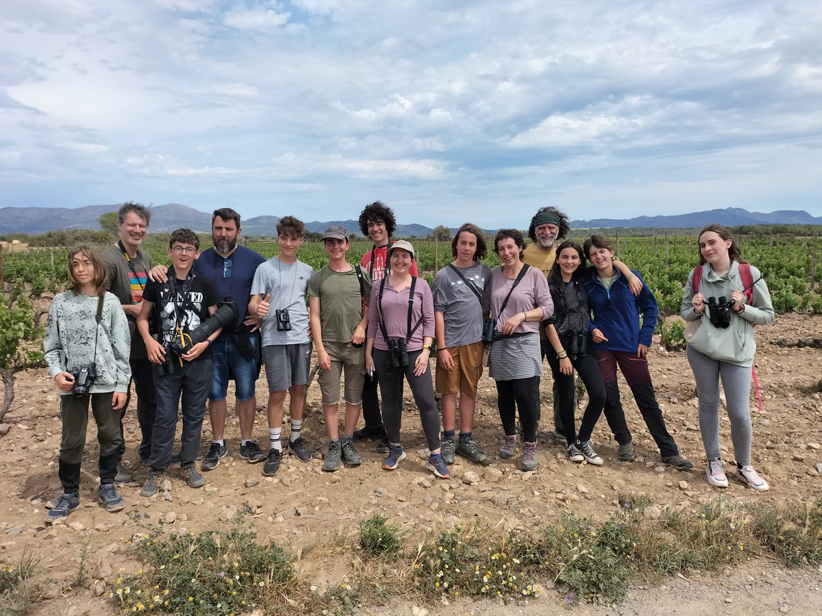 Birdingjunior tweet media