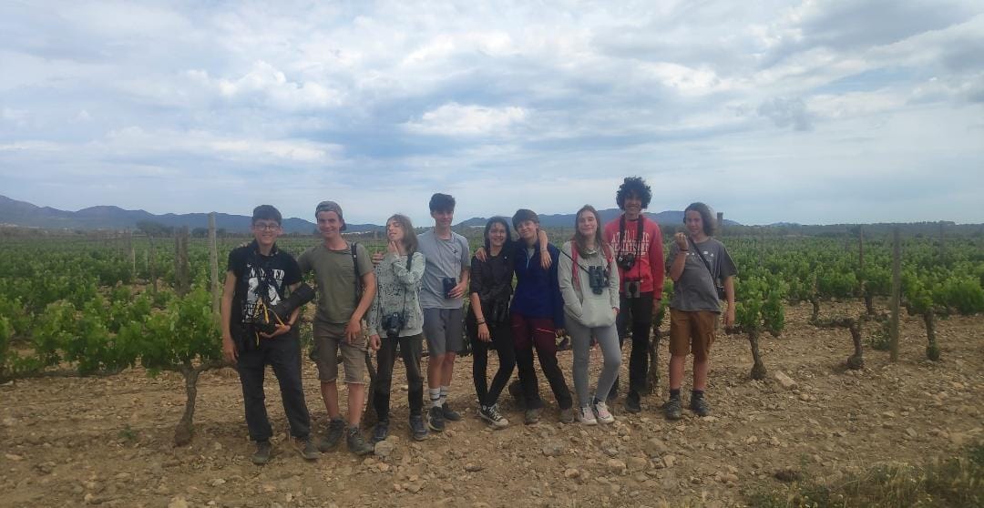 Birdingjunior tweet media