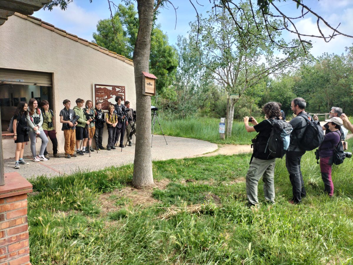 Birdingjunior tweet media