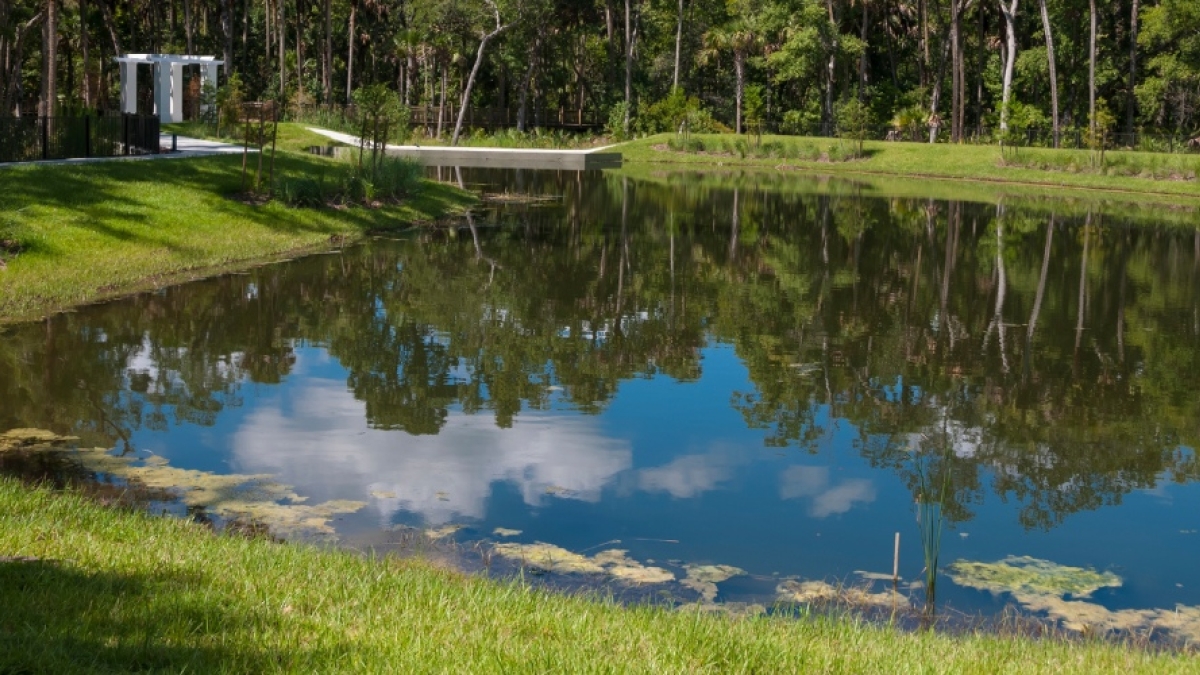 🌳 Secondary benefits of flood protection measures include enhanced green spaces, increased property values, and improved water quality. Learn how to harness these benefits in our cities from experts <a href="/TessDoeffinger/">Tess Doeffinger</a> &amp; <a href="/SRubinyi/">Steven Rubinyi</a>: wrld.bg/vFNY50OkKaL
via <a href="/WBG_Cities/">World Bank Cities</a>