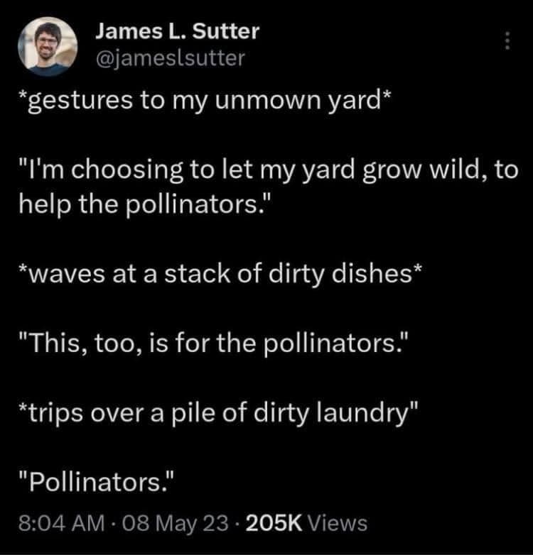 It's all about the #pollinators baby🐝🌱🌻🦋