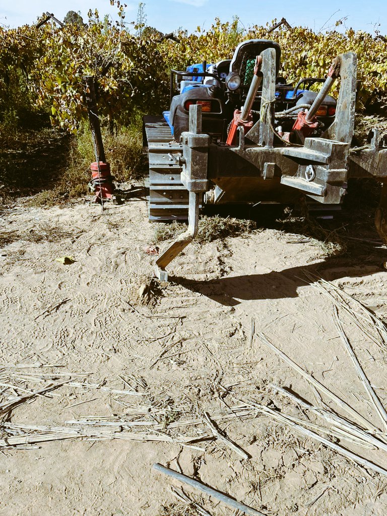 JohanVinpro's tweet photo. What a day! We discussed different methods of improving soil compaction and root pruning in existing vineyards. Practical day in the soil with producers - doesn't get better than this! @Vinpro_za @RicoBasson https://t.co/7eXRCKpMoP