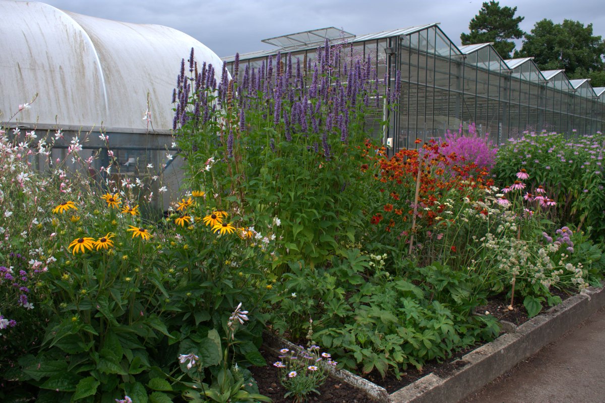 HertfordshireNGS (@hertfordshirngs) on Twitter photo Breaking news! This Friday, the day before opening for us for the very first time, the awesome <a href="/sunnyside_news/">Sunnyside Rural Trust</a> will be on #GardenersWorld on #BBC2 with a visit from NGS Trustee & garden designer Arit Anderson. More details about their opening here: tinyurl.com/2w97hc2y Breaking news! This Friday, the day before opening for us for the very first time, the awesome <a href="/sunnyside_news/">Sunnyside Rural Trust</a> will be on #GardenersWorld on #BBC2 with a visit from NGS Trustee & garden designer Arit Anderson. More details about their opening here: tinyurl.com/2w97hc2y