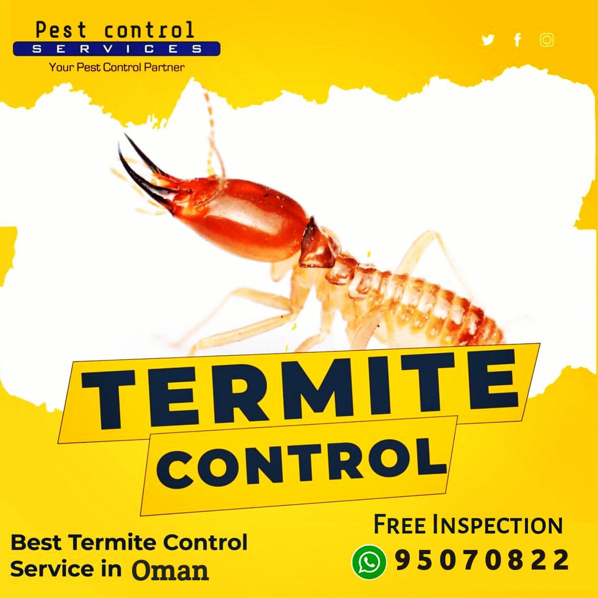 MuscatPest's tweet image. PestControl Services Oman is one of the best service provider in oman,We are working round-the-clock 24/7For Anti Termite Control we are offering 5 to 10 years warranty.
For free inspection call 95070822.
#termitecontrol #rummah #termiteproblem #termites #termitewarranty #Termite