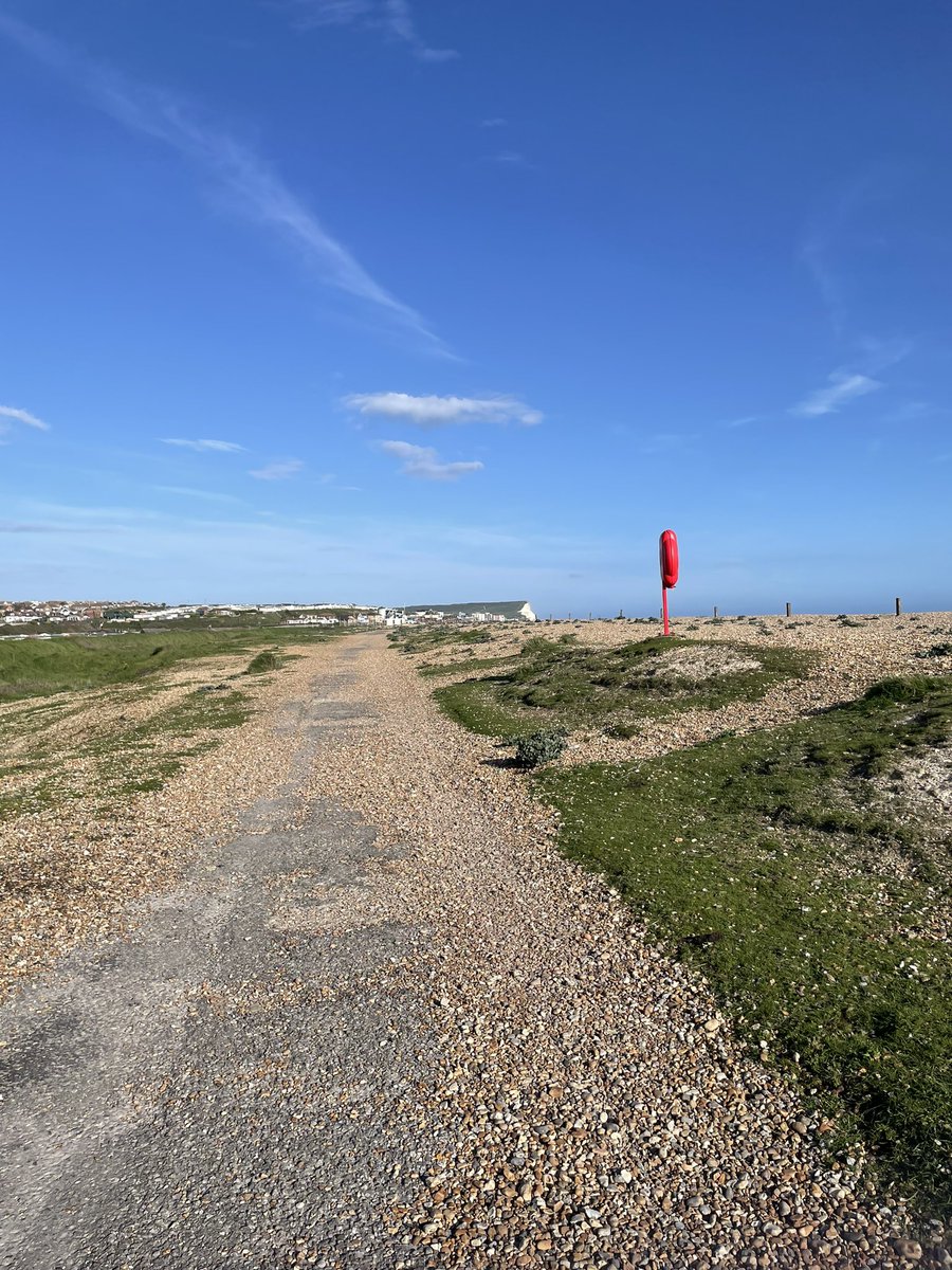 SkipperTheBear's tweet image. We went to #Tidemills this evening. We ran along the beach, we had a sausage each, we sniffed the sea and had a wrestle! #Pawfect