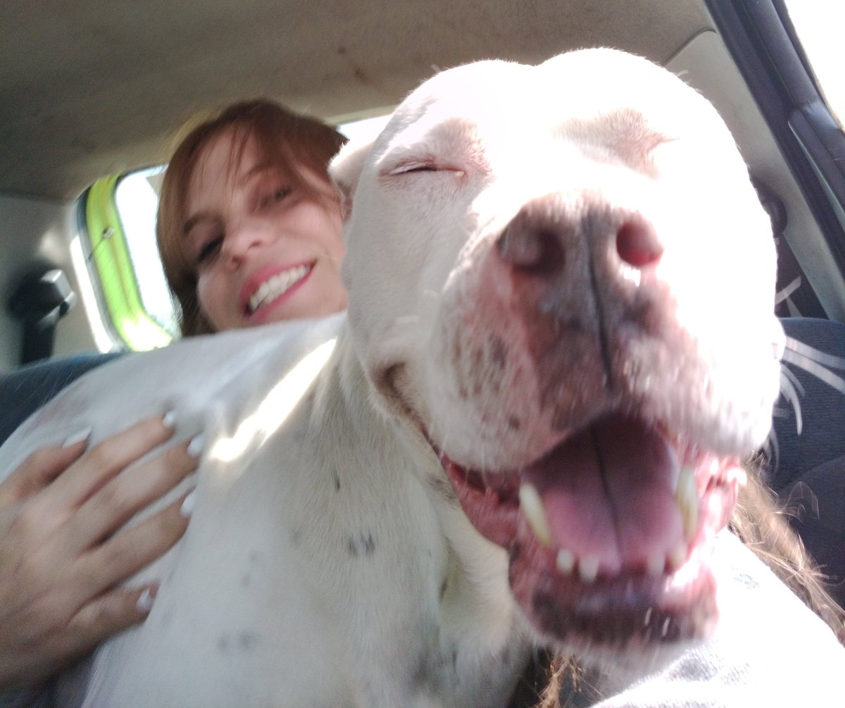 FundacionToby's tweet photo. El día de hoy no es un día feliz.

Hoy Nasha fue envenenadada, tenemos que subir la barda ya que nos avientan cosas que caen en las jaulas 😔.

Esto no es justo amigos, demasiado odio impulsado por gente miserable en redes sociales que solo mienten y nos difaman, somos personas honestas y muy trabajadoras que entregan su vida a esta causa, uds han sido testigos del odio y los ataques sin sentido.

Nasha falleció con hemorragia interna, una perrita llena de vida y amor perdió la vida hoy por el odio.

Con nosotros lo que quieran, por favor, si le quieren hacer daño a alguien que sea a nosotros, no a nuestros animales

Vuela alto Nasha, hoy no podemos más... Seguirán atacando hasta con esto como nos hicieron con Dodo, diario anunciamos donde estamos, aquí los vemos si es que tan valientes, bajen su celular y vengan.