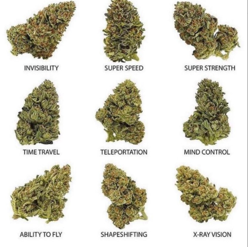HerbApproach's tweet photo. PICK 1 NUG. We will pick a lucky person to receive 7g 👇👇

#Mmemberville #Cannabis #cannabislife https://t.co/tvNDAZ3Zuj