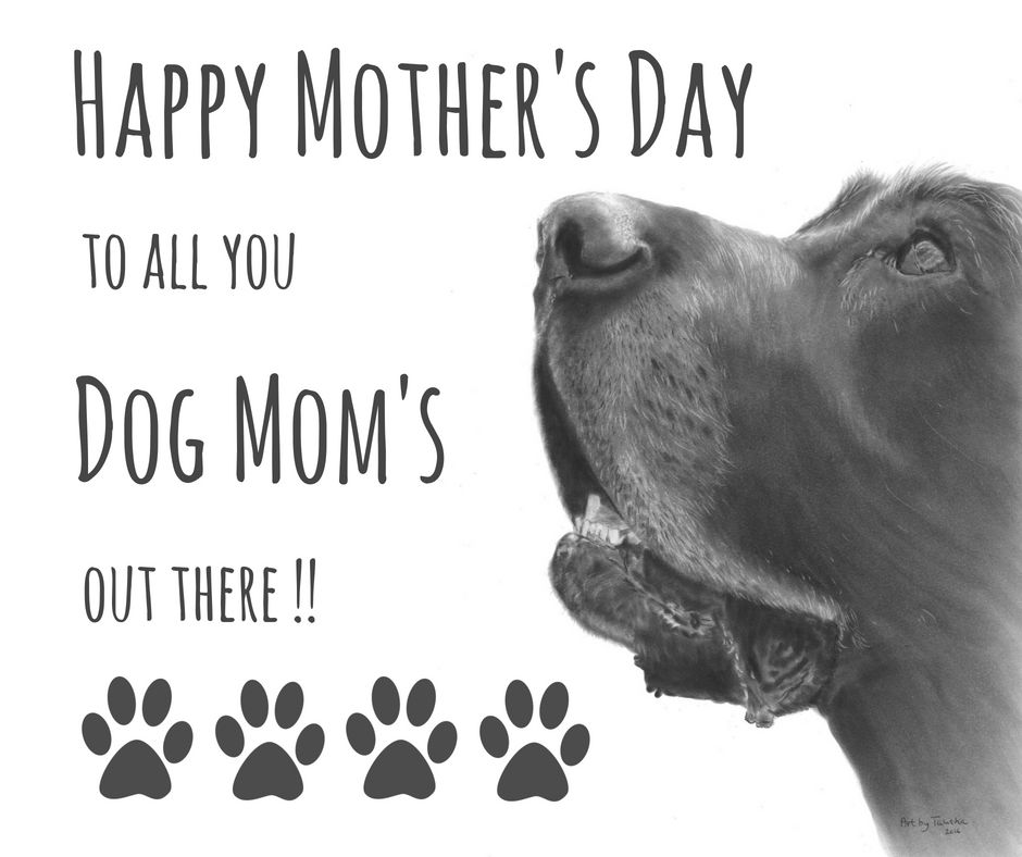 Being a dog mom is the best!
Happy Mother's Day!!! #dogmoms #dogmomma
#dogmomsofinstagram #gourmetdogtreats
#bestcustomersever❤️❤️
#miss_nellys_canine_gourmet #healthydogtreat
missnellys.com