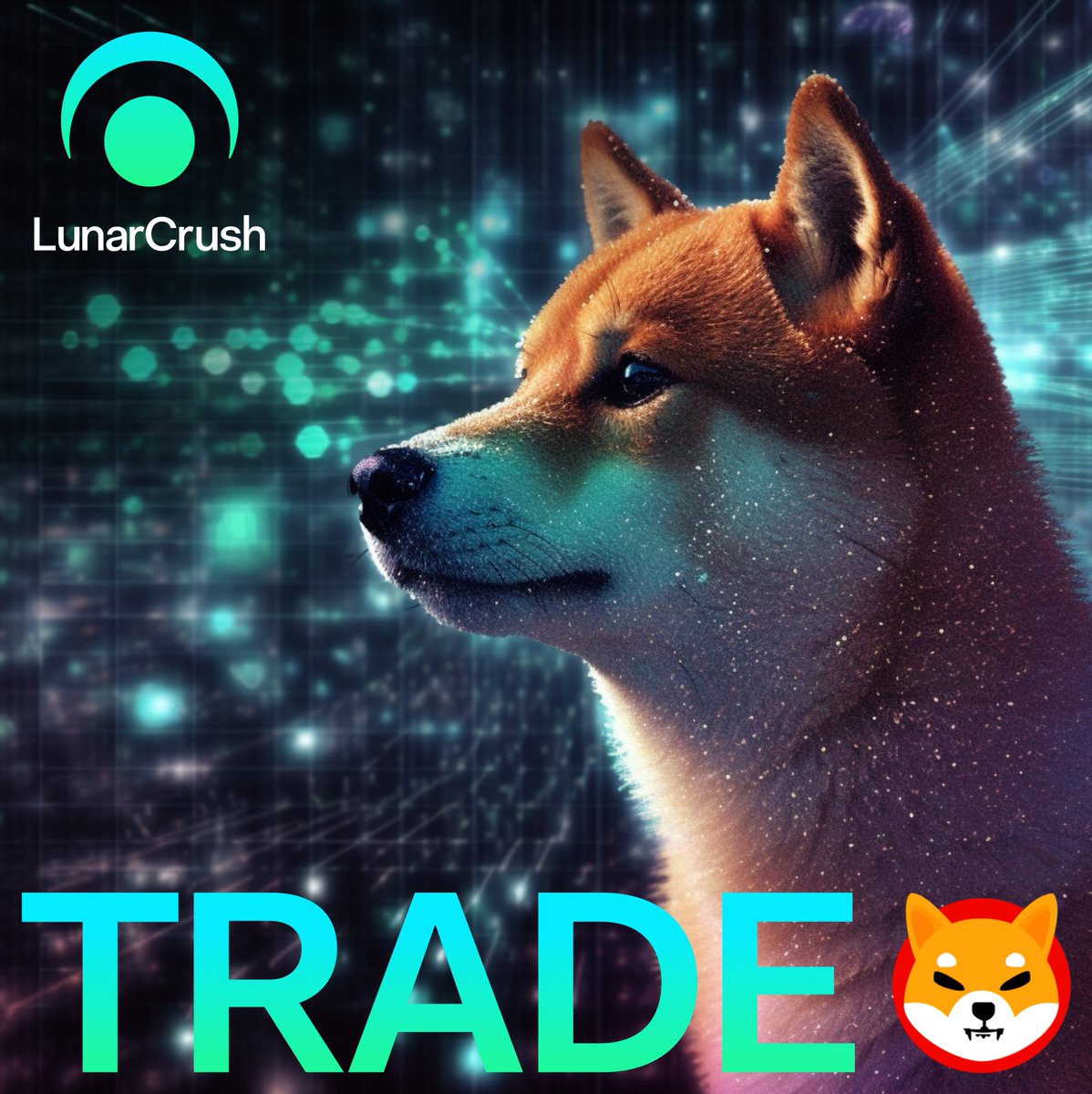 LunarCrush's tweet photo. NEW LISTING!
SWAP $SHIB ON LUNARCRUSH TRADE!
https://t.co/gU5ZwrAof4
#ShibaInu https://t.co/4QuSndhcuC