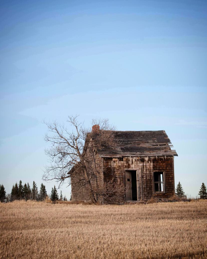 grainhenge's tweet photo. GrainHenge is a dance between people, places, and elements. A connection to the prairies and the Alberta landscape that surrounds us. https://t.co/Zo0ukMImtx